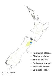 Cardamine verna distribution map based on databased records at AK, CHR, OTA & WELT.
 Image: K.Boardman © Landcare Research 2018 CC BY 4.0